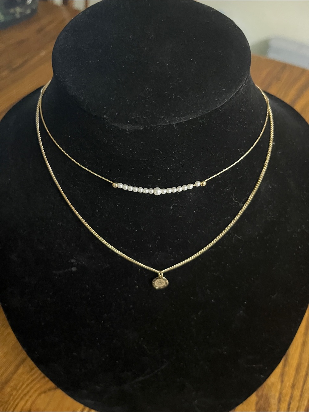Delicate Gold Layered Necklace with Pearl Bar